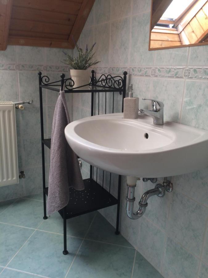 Cosy Rooms On The Lake Near Budapest And The Airport Isaszeg 外观 照片