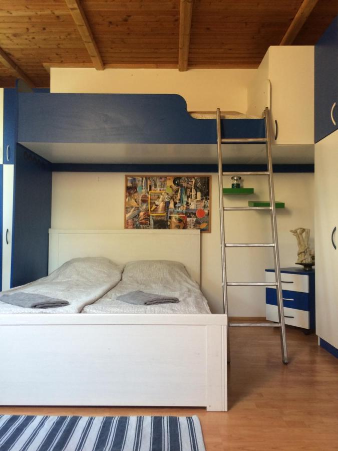 Cosy Rooms On The Lake Near Budapest And The Airport Isaszeg 外观 照片